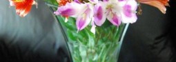 Fresh Flower Vase